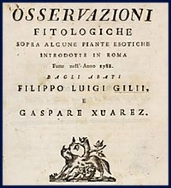 GASPAR XUÁREZ: SITIAL DE DIEGO A. MELONI